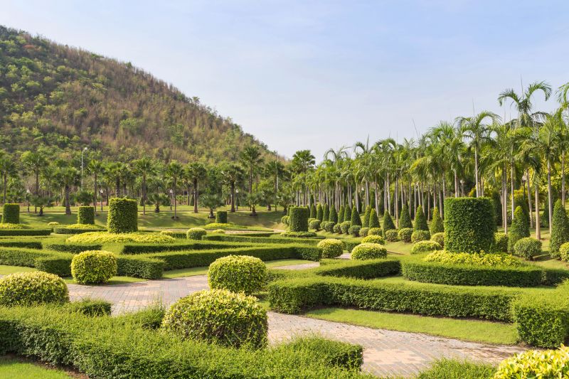 Garden Bed with Trimmed Shrubs