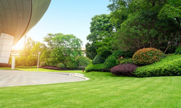 Commercial Shrub Trimming in Gallatin