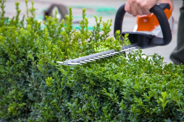 Hedge Pruning in Gallatin