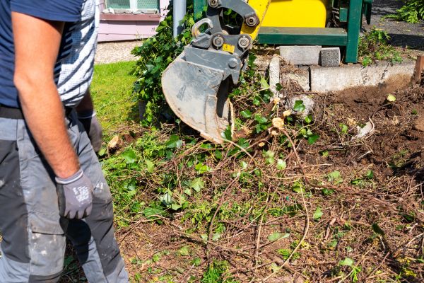 Hedge Removal Service in Gallatin
