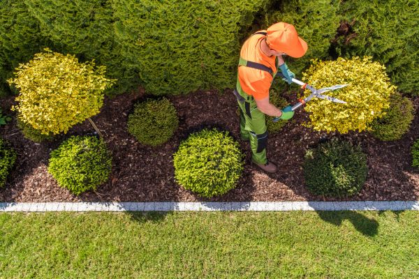 Topiary Trimming in Gallatin