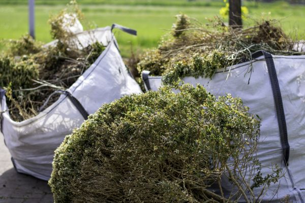 Shrubs Removal in Gallatin