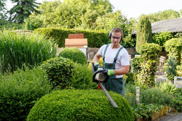 Shrubs Trimming in Gallatin