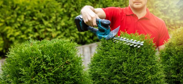 Hedge Shaping Service in Gallatin